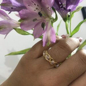 Anillo Gleti
