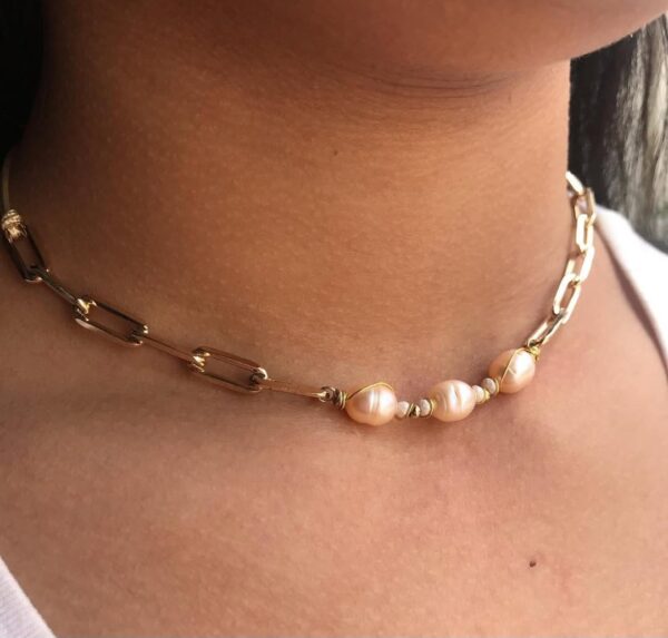 Collar Provi